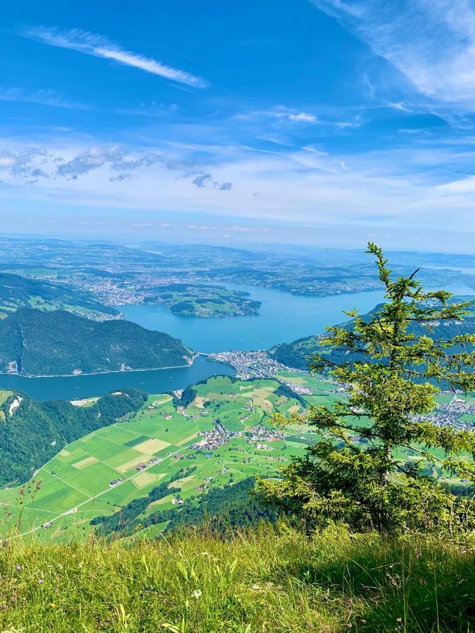 The Swiss Paradise 2 Apartment With Garden, Whirlpool, And Mountain Panorama Wirzweli エクステリア 写真