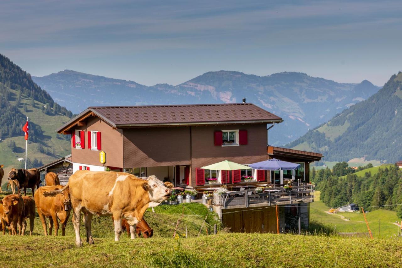 The Swiss Paradise 2 Apartment With Garden, Whirlpool, And Mountain Panorama Wirzweli エクステリア 写真